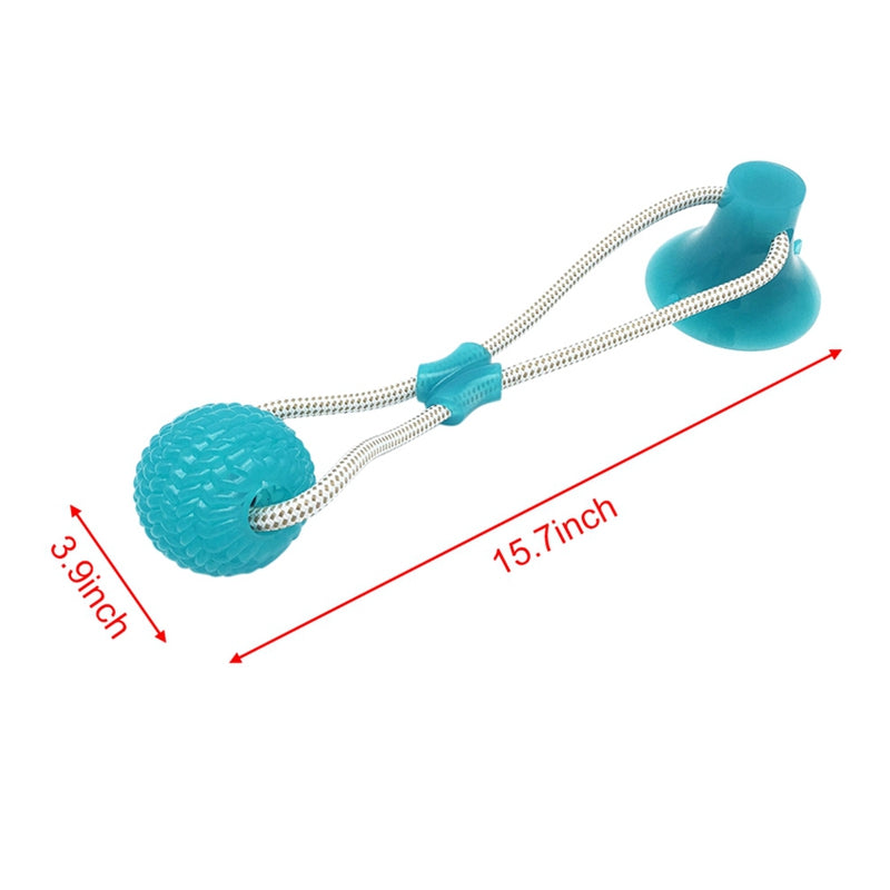 Pet Molar Bite Toy