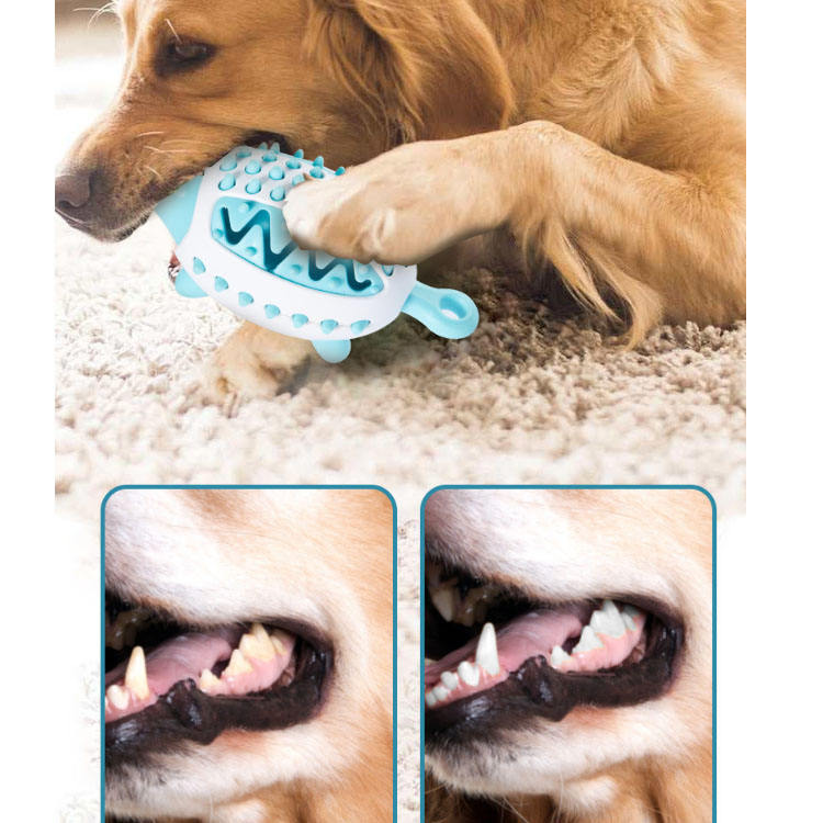 Pet Leakage Ball Teeth