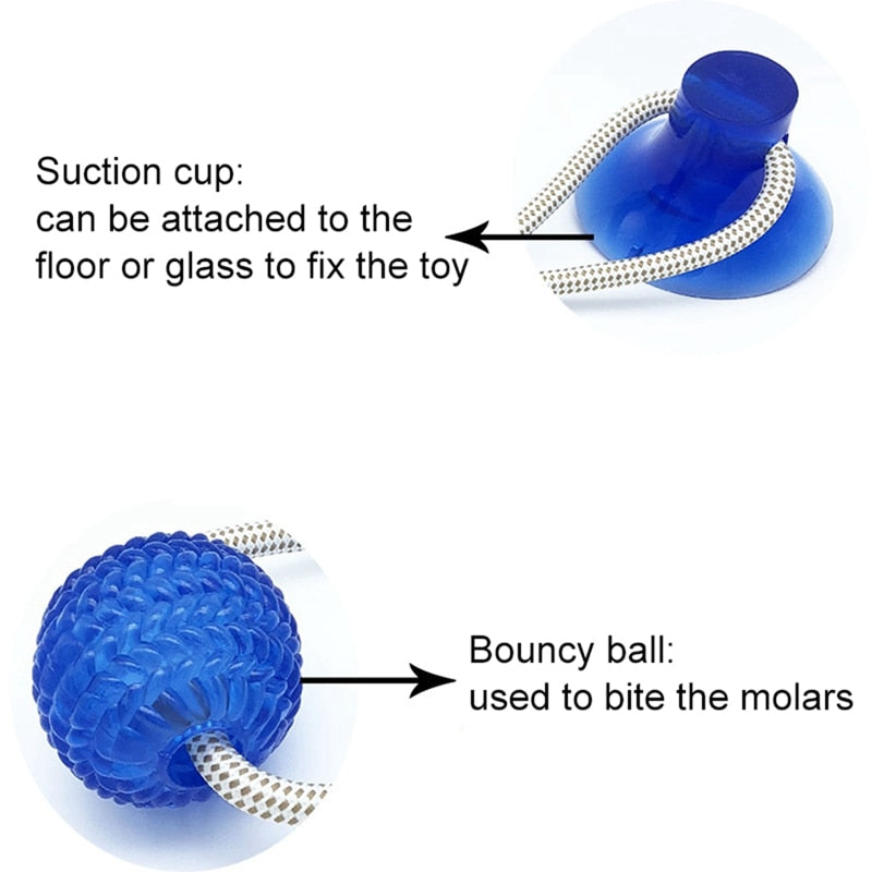 Pet Molar Bite Toy