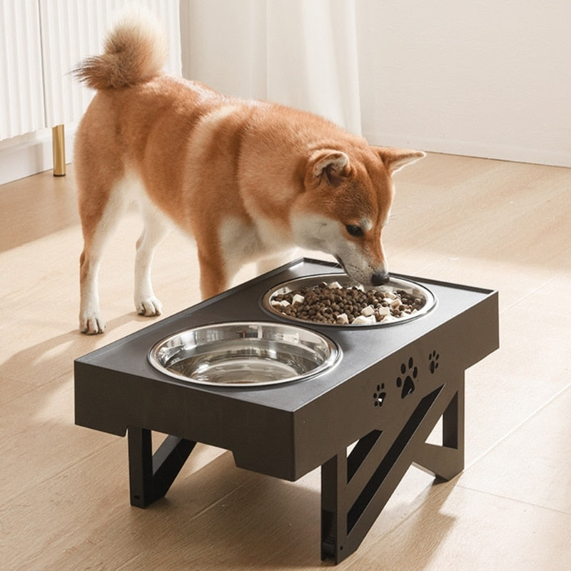 Anti-Slip Stainless Elevated Dog Bowls