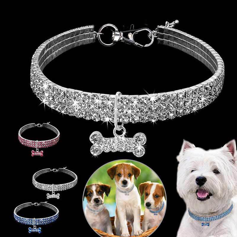 Pet Collars