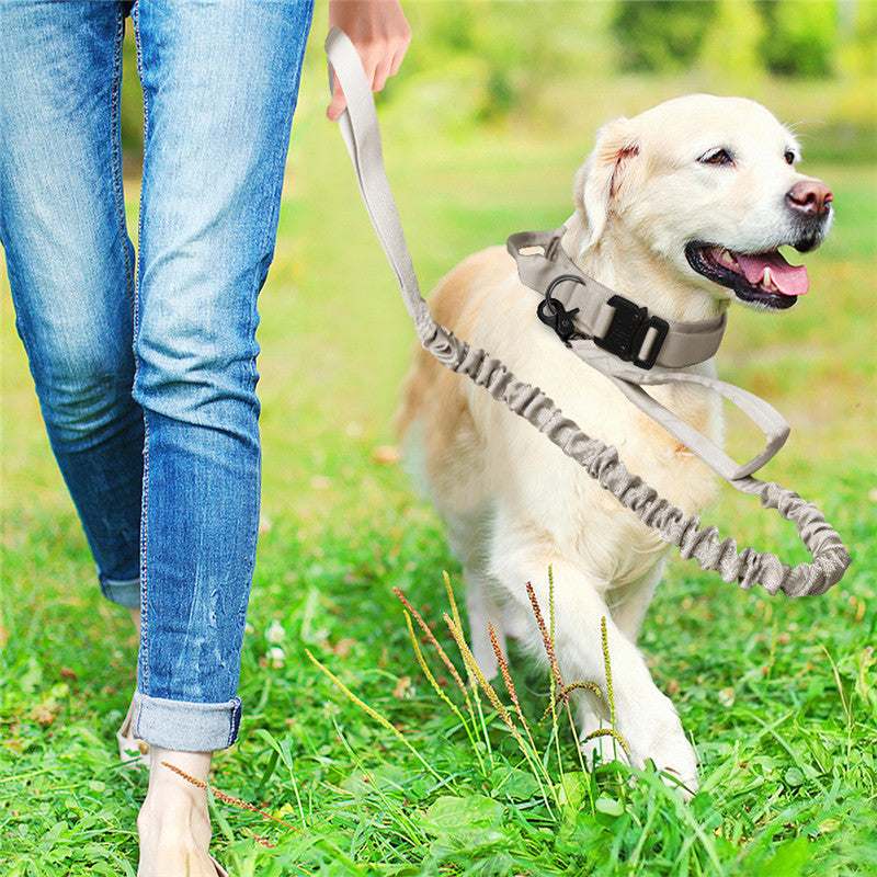 Leash Adjustable for Pet