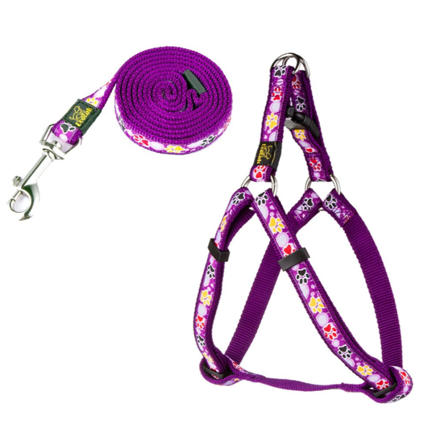 New Dog Paw Print Nylon Leash Collar (With Leash) Set Of Pet Supplies